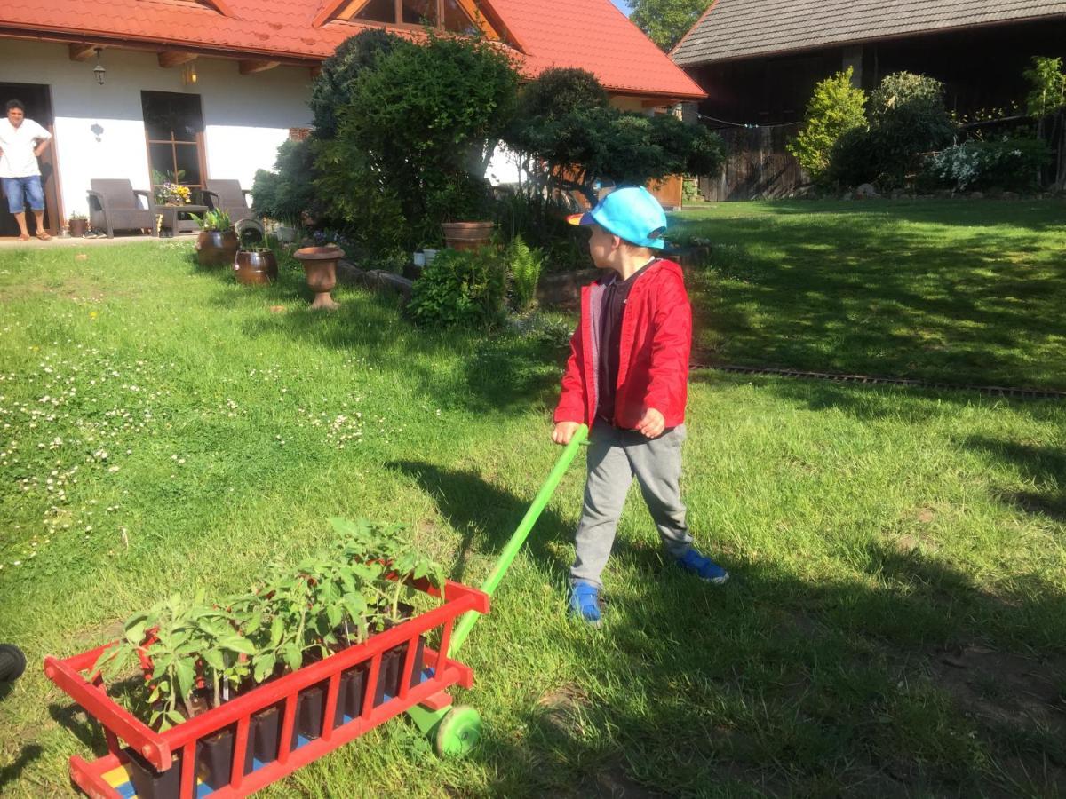 Dom Pod Orzechem Villa Łapczyce Kültér fotó