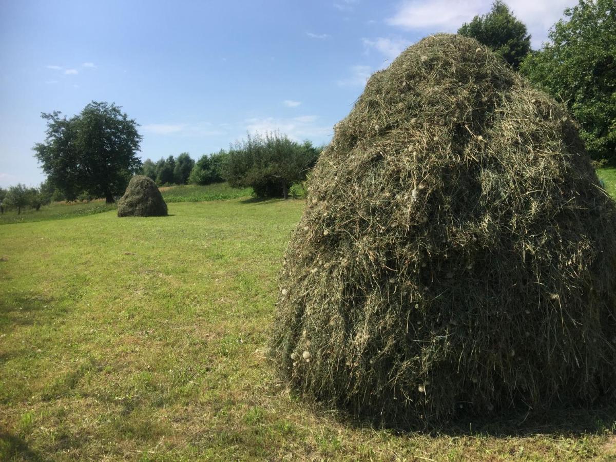 Dom Pod Orzechem Villa Łapczyce Kültér fotó