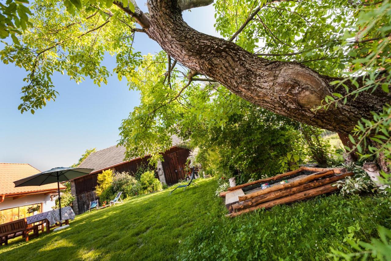 Dom Pod Orzechem Villa Łapczyce Kültér fotó
